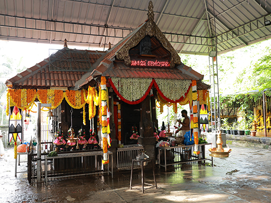 <p>Ambotti Thampuran Shankarodath Kovilakam Vaka</p>
<h6>Sree Shankarodath Kavu (Veeraporkkali Kavu)</h6>